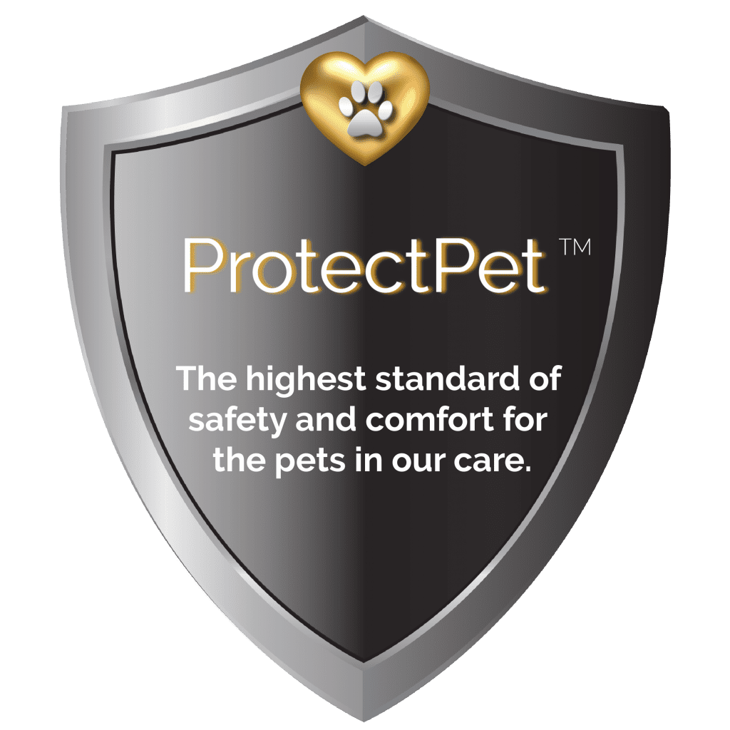 Dog Boarding in DC, Md and VA Dog Boarding in DC, Md and VA