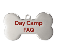 Dog Daycare 9 DayCampbone