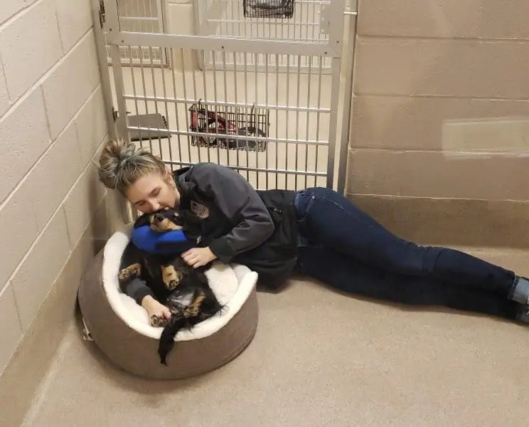 20181206_091015-800×600 Olde Towne Pet Resort employee taking care of dog at boarding