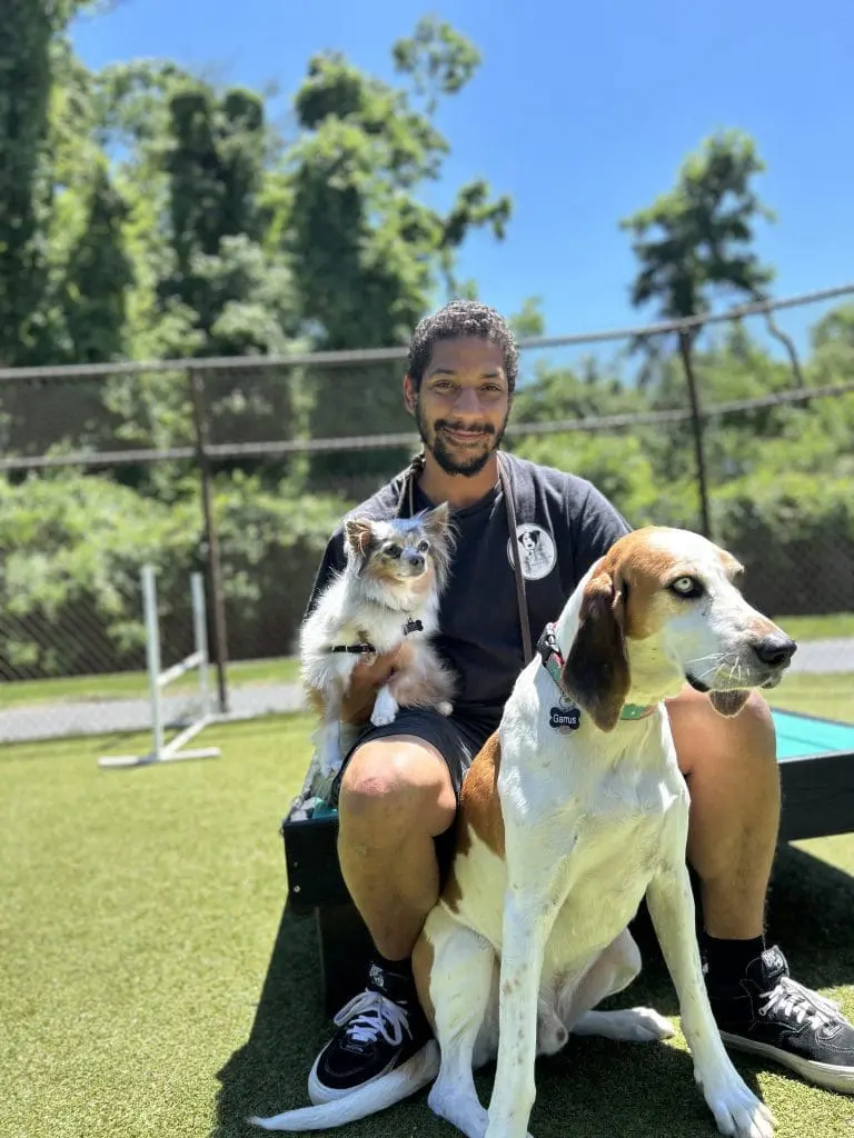 Unknown-1 Dog training in North Bethesda, MD